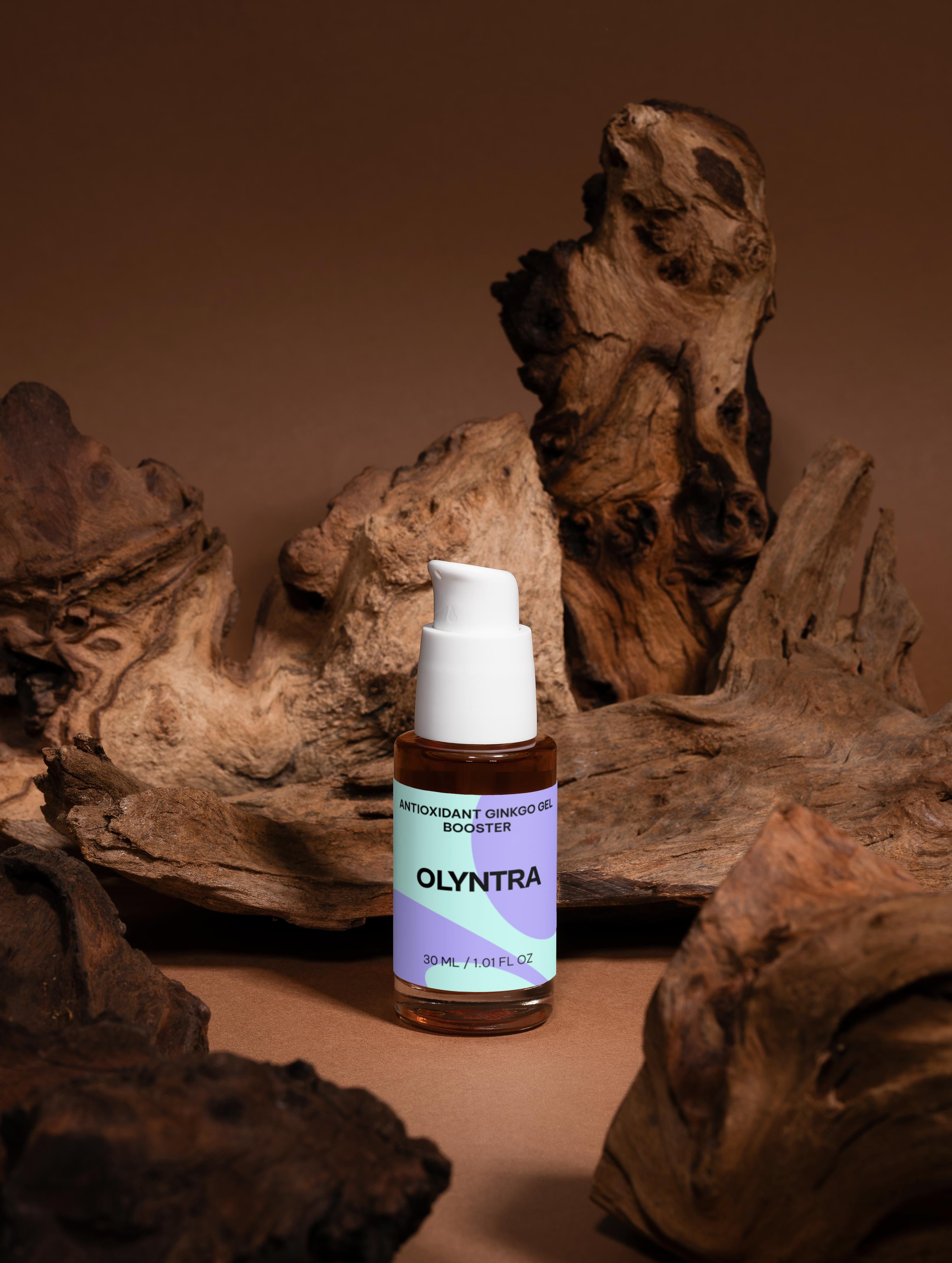 Antioxidant Ginkgo Gel Booster